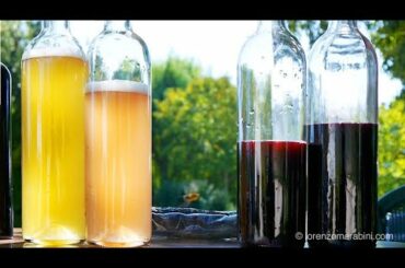 SPOT della fiera Wine & Food artigianale "Back to the Wine"