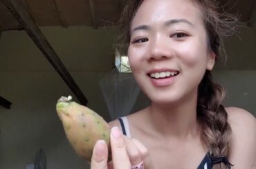 Florence | Travel Vlog | Eating Mcds In Italy & Farm Living