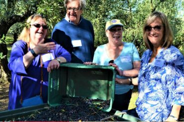 Cultural, Culinary & Olive Harvest Experience Tour in Abruzzo Italy