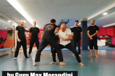 Jurus Applications - medium Class in Verona (Italy)