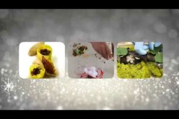 WGS 2019 Video Challenge - Finalists Announced