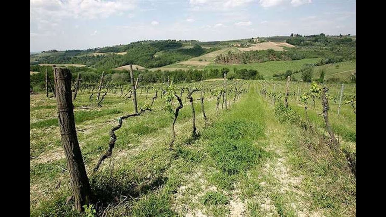 Winery in Chianti for sale Winery in Chianti for sale