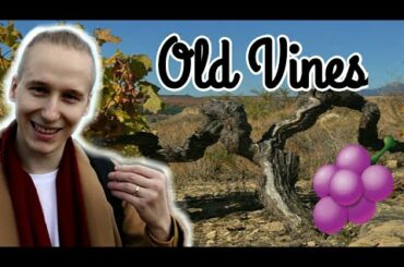 Old Grape Vines in Rioja - Old or Young Best for Wine?