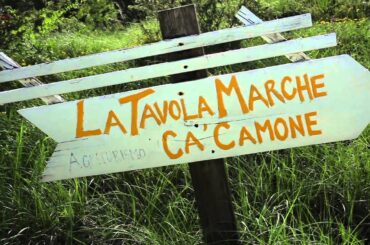 From NYC to the Italian Countryside: American Expats Living the Dream in Le Marche