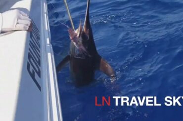 Sardinia Italy Beaches| Watch fishing trip we caught swordfish in America| bluest beach in Sardinia