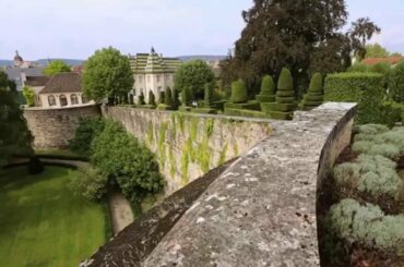 Discover The White Wines of Burgundy