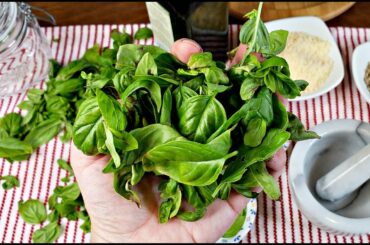 Simple Pesto Recipe | Easy Recipes for Basil | Simply Mama Cooks