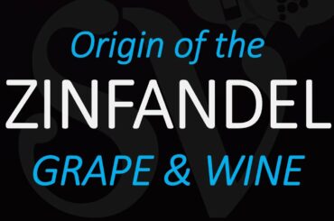 The Origin of Zinfandel - American California Wine Grape History