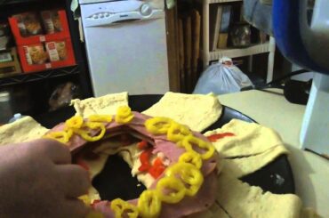 2015 5 24 Alene's Kitchen Spicy Italian Crescent Ring , Cooking Show