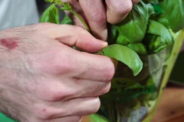 Chef Matteo Guerra | Matto Restaurant | Italian Recipes