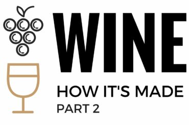 White Wine: How It's Made