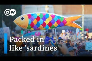 What's behind Italy's 'sardines' against Salvini movement? | DW News