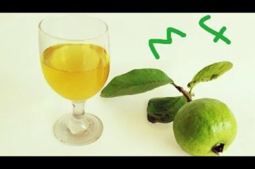 How to make wine (Guava wine)