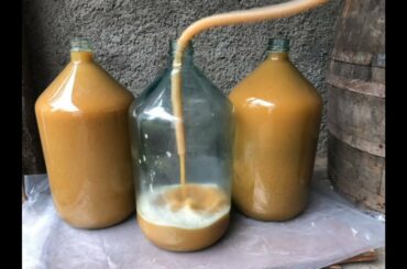 Wine making with oldest traditional method / Homemade Georgian Wine