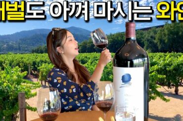 마세라티 타고 미국 나파밸리에 왔습니다 [CARGIRL]