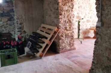 Tenuta macellaro winery postiglione italy