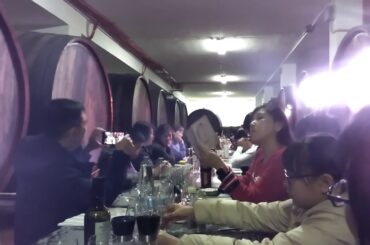 Italy Day 5 Winery Lunch 2