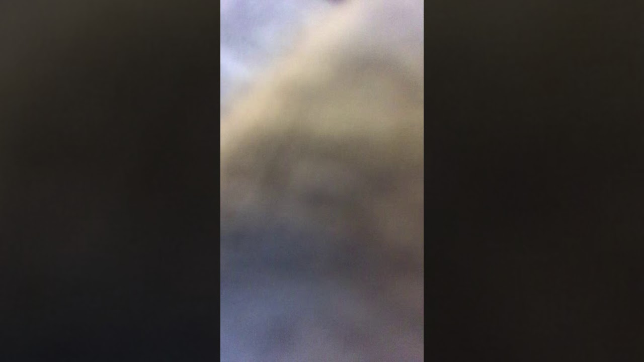 eating at Hawthornes New York Pizza and bar in Charlotte North Carolina eating at Hawthornes New York Pizza and bar in Charlotte North Carolina