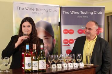 Avino Christmas Tasting Special - White Wines