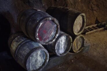 Minardi Wine experience at Frascati Italy near Rome