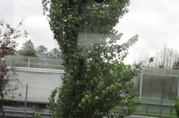 Italy Day 5 Tuscany Region Pisa Veneto RegionPisa Tour 2