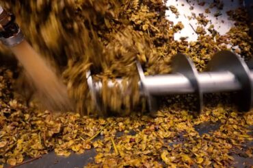 Sant'Andrea - from Tunisia to Italy, how to start a winery anew