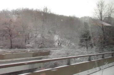 Italy Day 5 Tuscany Region Pisa Veneto RegionPisa Tour 4