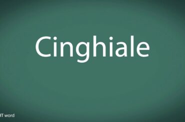 How to pronounce Cinghiale [Italian food]