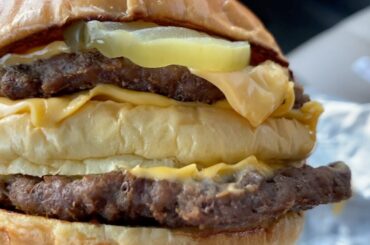 NEW Sonic Biggie Cheese | SMASH or PASS?