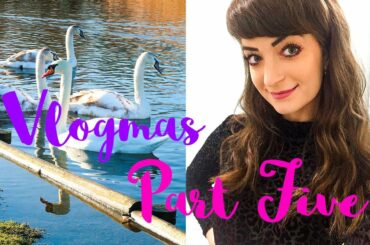 A COMEDY NATIVITY, DOG WALKS & ALL THE ITALIAN FOOD | #VLOGMAS PART FIVE | VioletDaffodils