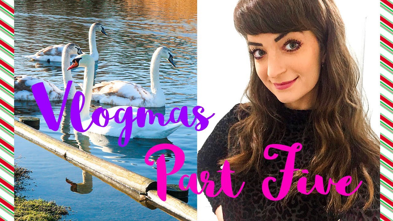 A COMEDY NATIVITY, DOG WALKS & ALL THE ITALIAN FOOD | #VLOGMAS PART FIVE | VioletDaffodils A COMEDY NATIVITY, DOG WALKS & ALL THE ITALIAN FOOD | #VLOGMAS PART FIVE | VioletDaffodils