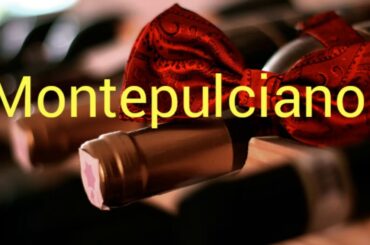 Sommelier 101 - varietals by region - Italy