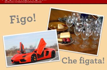 Common Italian Expressions   Video