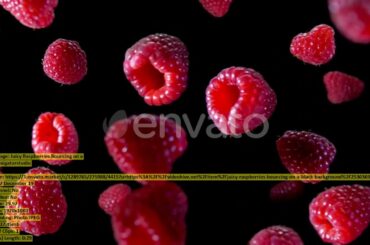 Sorrento Italy tourism and lifestyle | Stock Footage + Mega Pack