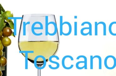 Tasting notes - Trebbiano Toscano - which wine flavors do you experience?
