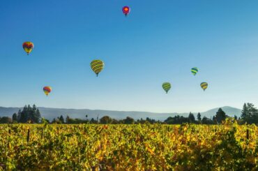 Napa Valley Hot Air Balloon Ride with Sparkling Wine