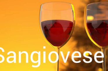 How to pronounce sangiovese.  Wine terminology.