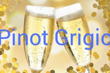 How to pronounce pinot grigio.  Wine terminology.