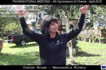 Episode 1 of 4 - Cretan Wines   Manousakis Winery