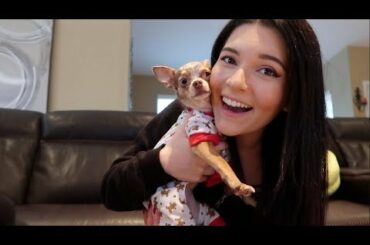 Huge Italian Christmas Eve Preparation!!!