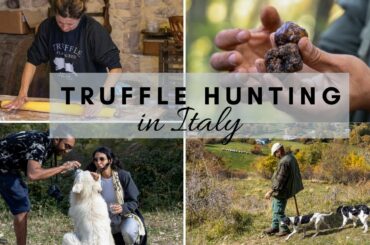 Truffle Hunting in Italy | Wild Foods Tour