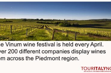 Introduction to town of Alba, Italy