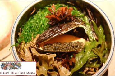 Noma  Seafood menu - Simply the best in the world...