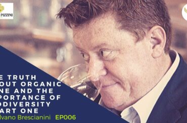 Silvano Brescianini  - The truth about Organic wine and the importance of biodiversity - Part One