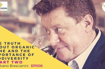 Silvano Brescianini   Part 2   The truth about Organic wine and the importance of biodiversity