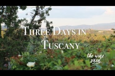 Three Days In Tuscany - Three Wineries in Montalcino