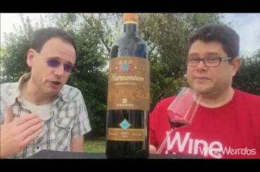 2013 Firriato Harmonium Nero d'Avola Sicily Italy Red Wine