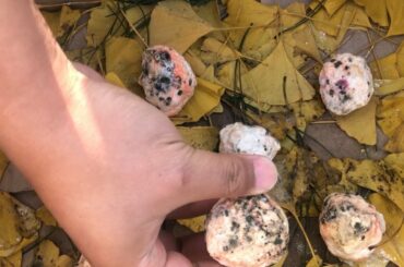 수제 술 만들기 (feat. 파전) | 상남자 handmade korean wine making