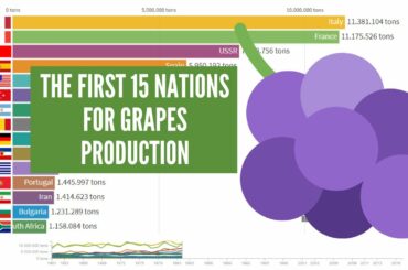 The first 15 nations for grapes production - From 1961 to 2017