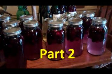 How To Make Easy Homemade Wine~Part 2 (Making Blackberry Wine)